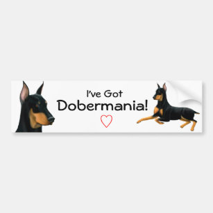 Doberman Pinscher Love Bumper Sticker