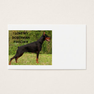 doberman pinscher love w pic.png