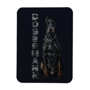 Doberman Pinscher     Magnet