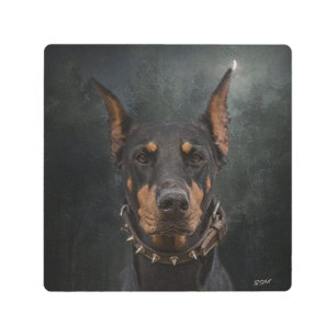 Doberman Pinscher Metal Print