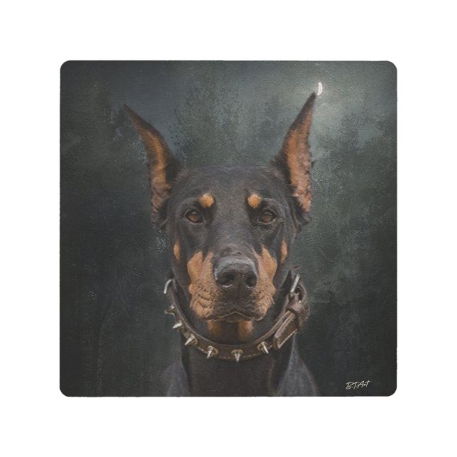 Doberman Pinscher    Metal Print (Front)