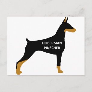 Doberman Pinscher name color silo black Postcard