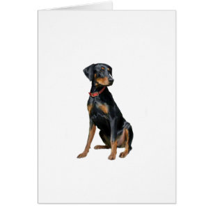 Doberman Pinscher (natural) Cards