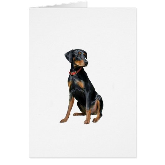 Doberman Pinscher (natural) Cards (Front)