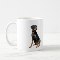 Doberman Pinscher (natural)