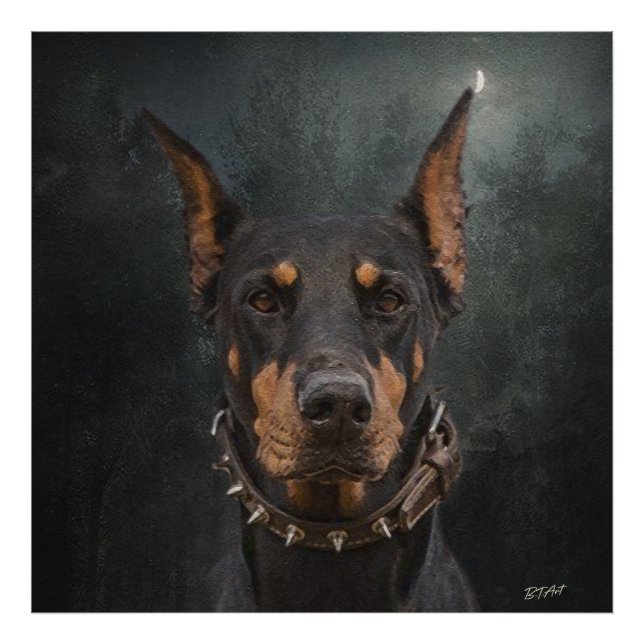Doberman Pinscher   Photo Print (Front)