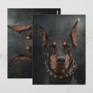 Doberman Pinscher  Postcard
