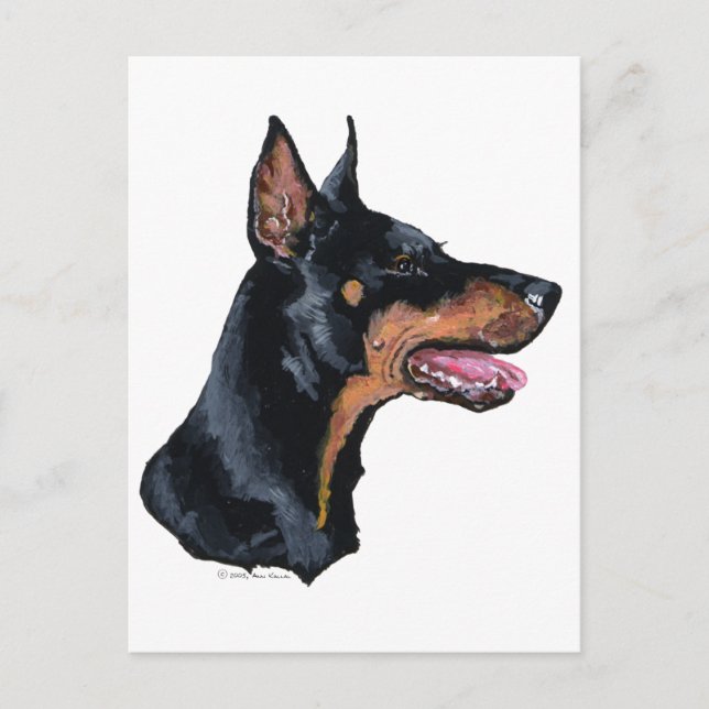 Doberman Pinscher Profile Postcard (Front)