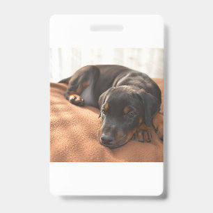 doberman-pinscher-puppy badge