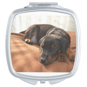 doberman-pinscher-puppy compact mirror