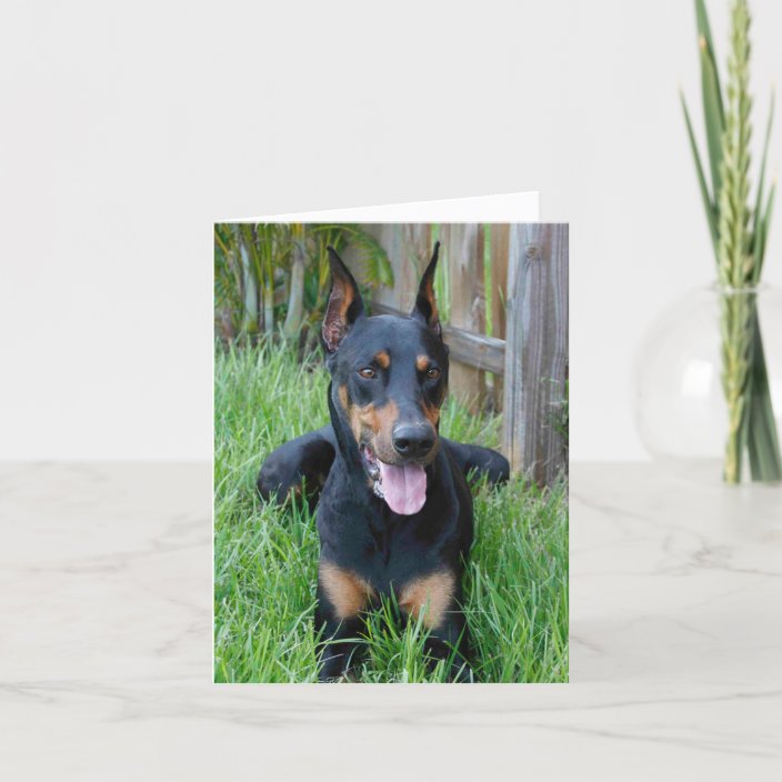 Doberman Pinscher Puppy Dog Blank Note Card Zazzle Com