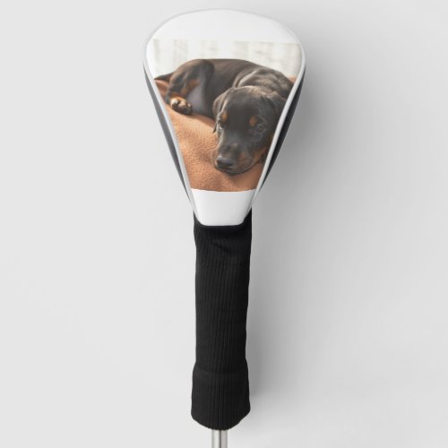 doberman_pinscher_puppy golf head cover