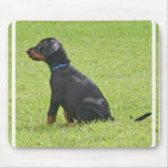 Doberman Pinscher Puppy Mouse Pad