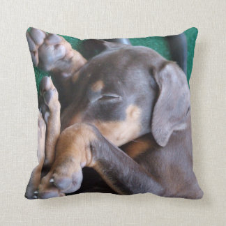 Doberman Pinscher Puppy Pillow