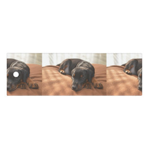 doberman-pinscher-puppy ruler