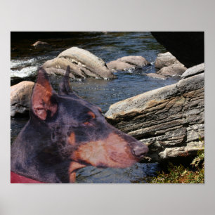 Doberman Pinscher River Rocks Fantasy Art Poster