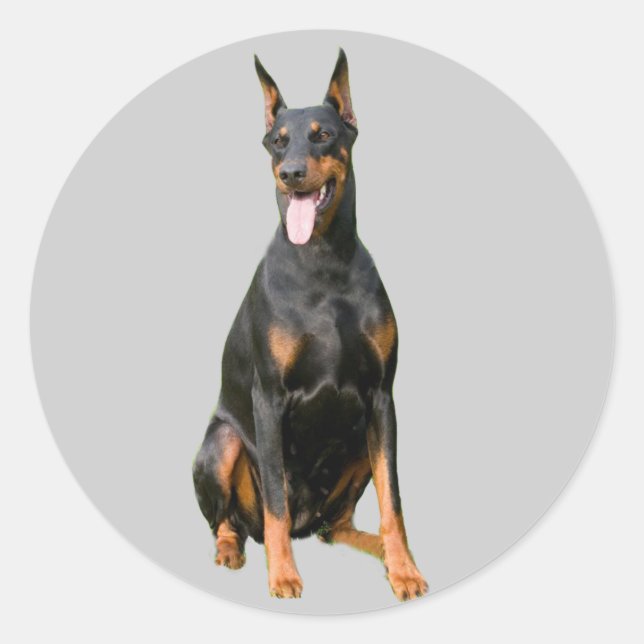 Doberman Pinscher Sticker (Front)