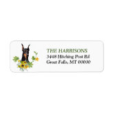 Serene - Doberman Pinscher Puppy For Sale in Pennsylvania Serene - Doberman Pinscher Puppy For Sale in Pennsylvania