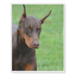 Doberman Pinscher Temporary Tattoos