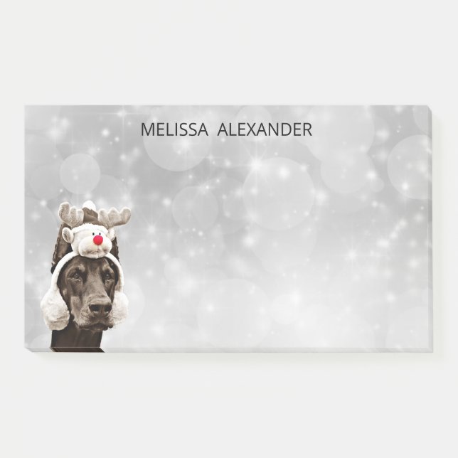 Doberman Pinscher Winter Portrait Post-it Notes (Front)