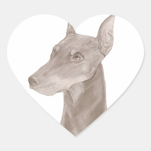 Doberman Portrait Heart Sticker