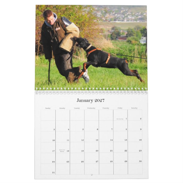 Doberman protection calendar (Jan 2027)