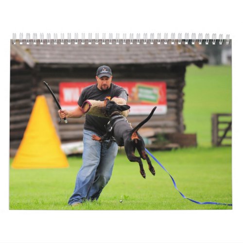 Doberman protection calendar