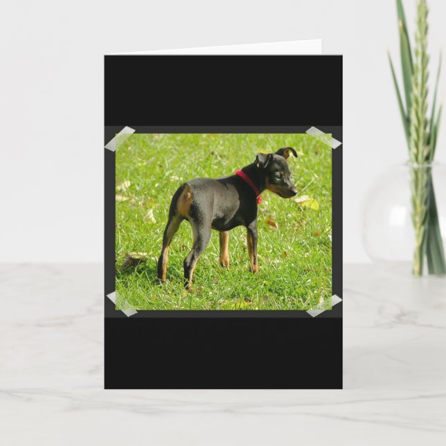 Doberman Puppies Greeting Card (Front)