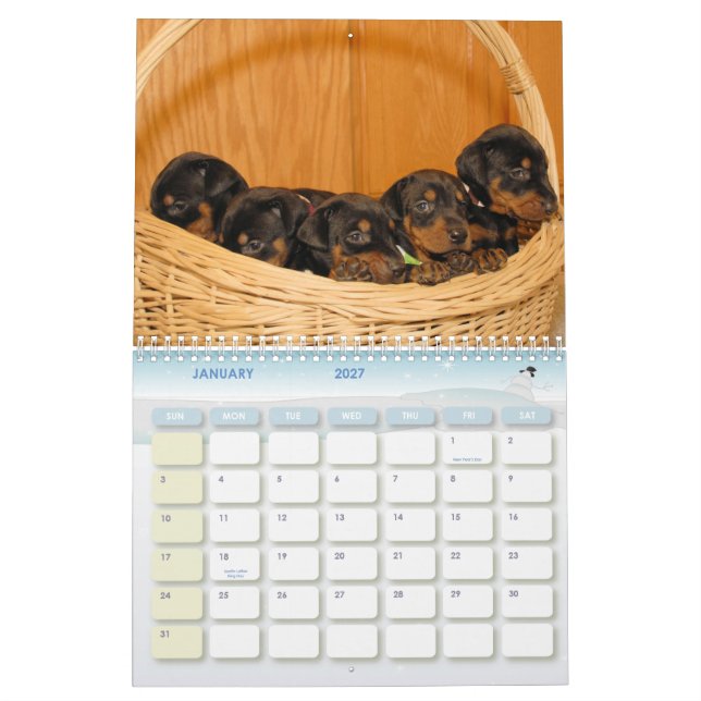 Doberman Puppy Calendar (Jan 2027)