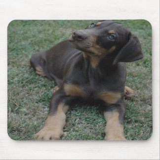 Doberman Puppy mousepad
