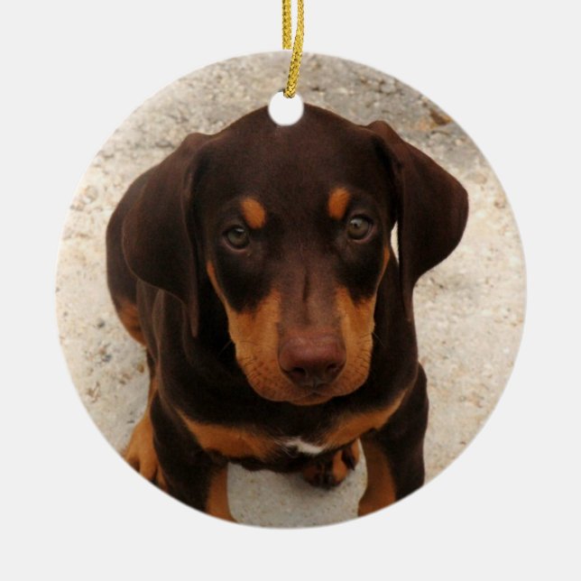 Doberman Puppy Ornament (Front)