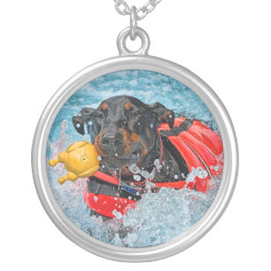 Doberman Swimming With Toy Necklace