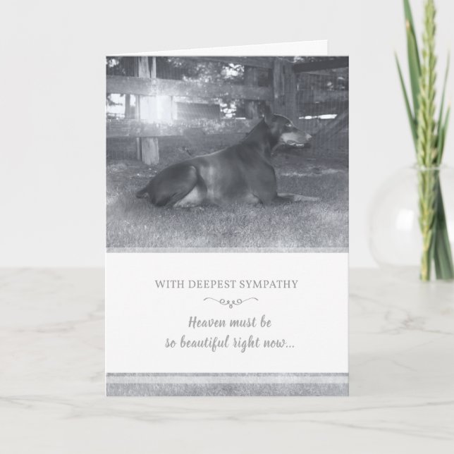 Doberman Sympathy Card - Heaven Must be Beautiful (Front)
