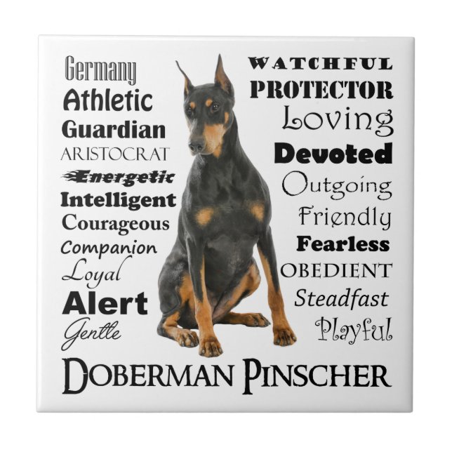 Doberman Traits Ceramic Tile (Front)