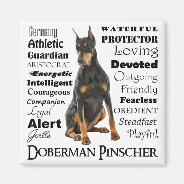 Doberman Traits Magnet (Front)