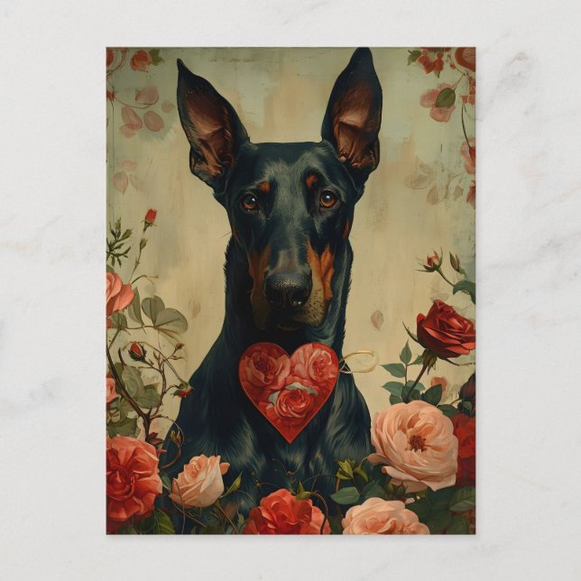 Doberman vintage Valentine's Day  Postcard (Front)