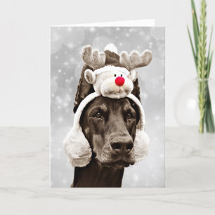 Doberman Winter Merry Christmas Holiday Card