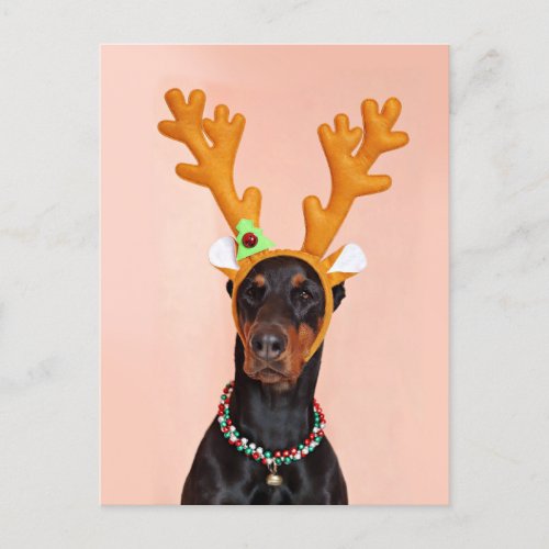 Doberman with Horns of a Deer Postcard