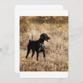 Dobermann_Bruno.png (Front/Back)