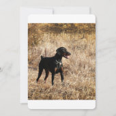 Dobermann_Bruno.png (Front)