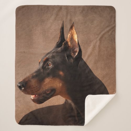 Dobermann _ Doberman Pinscher Sherpa Blanket