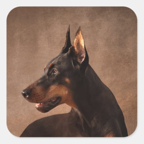 Dobermann _ Doberman Pinscher Square Sticker