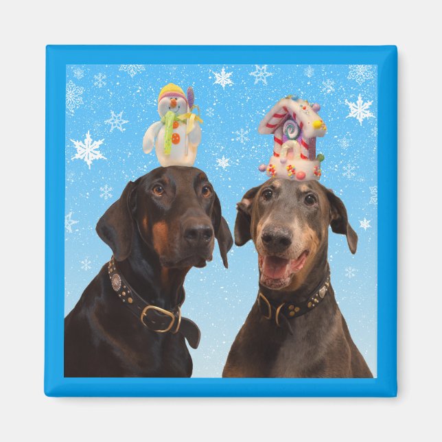 Dobermans winter Christmas funny square magnet (Front)