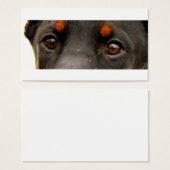 dobie eyes (Front & Back)