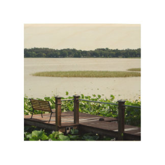 Dock on Lake Hollingsworth Wood Wall Art