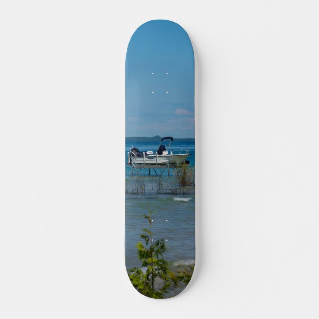 Docked At Mackinac Skateboard (Front)
