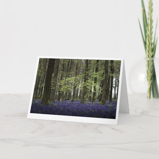 Dockey Wood Bluebells Bedfordshire (7502) Card (Front)