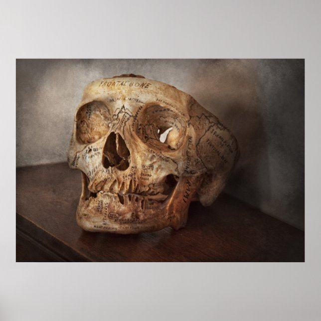 Doctor - Exam cheat sheet Poster (Front)