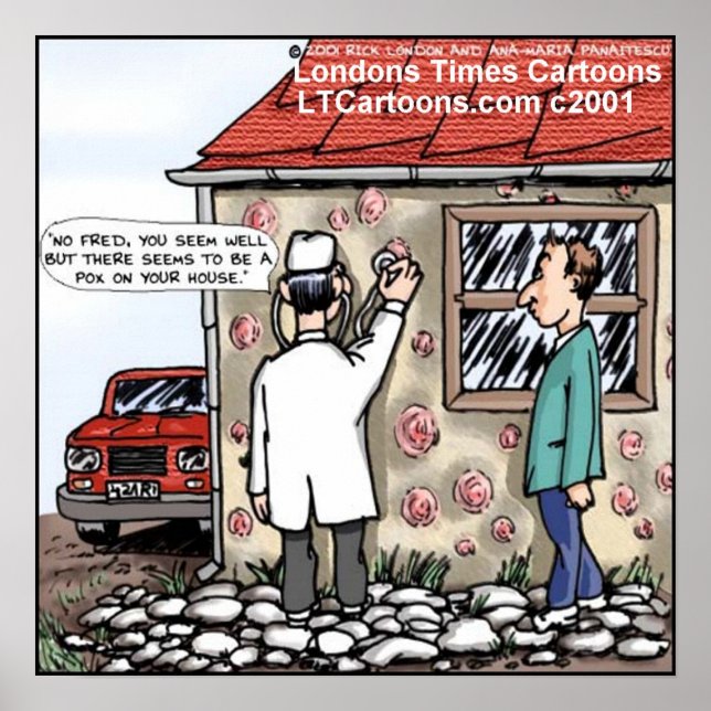 Doctor Finds Pox On House Funny Poster (Front)