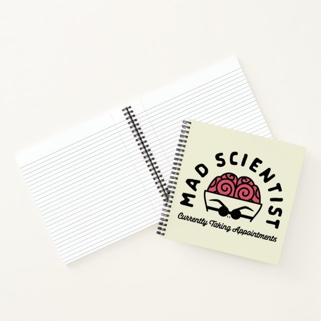 Doctor Finklestein - Mad Scientist Notebook (Inside)